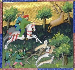 Stag hunting in the forest
