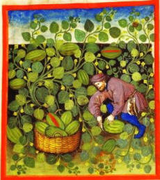 Medieval root vegetables and greens