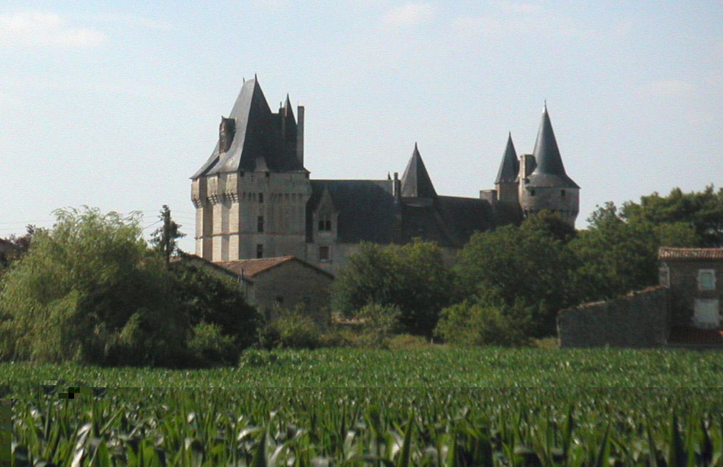 East view of Chateau de Cherveux